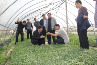 我?？萍脊ぷ髡呱祥T服務現代農業企業