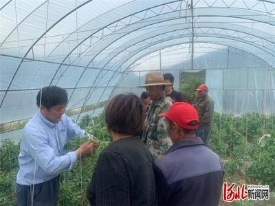 河北張家口市下花園區(qū)科技扶貧培訓(xùn)先行