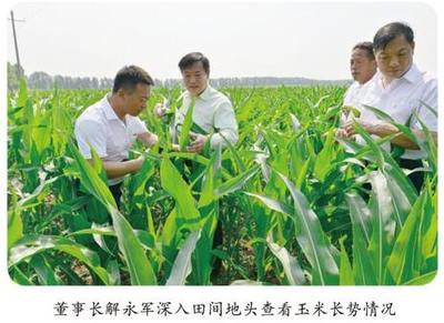 翔龍農業