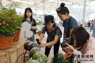 20載扶貧協作結碩果 閩寧鎮移民移出新生活