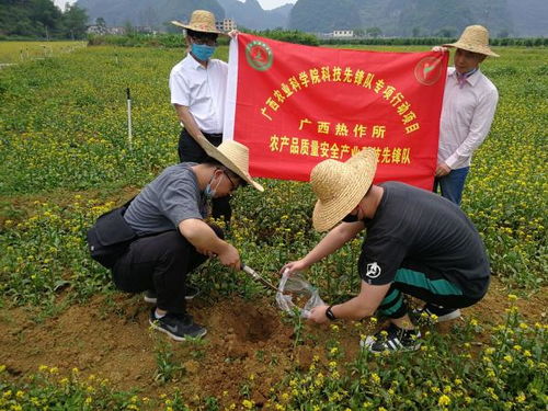 廣西熱作所農(nóng)產(chǎn)品質(zhì)量安全產(chǎn)業(yè)科技先鋒隊(duì)到馬山縣開展科技服務(wù)