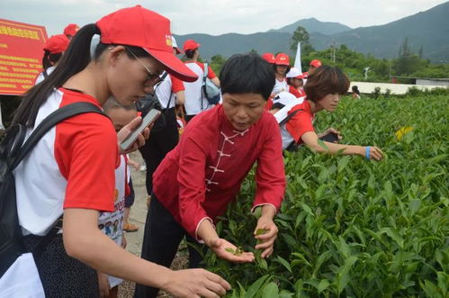 上榜 全國巾幗現(xiàn)代農(nóng)業(yè)科技示范基地