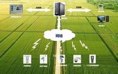 未來農(nóng)業(yè)科技暢想曲:植物工廠、智慧農(nóng)業(yè)、功能食品