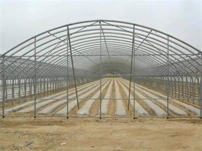 蒙城縣壽光溫室大棚造價(jià)低速度快還是選順合
