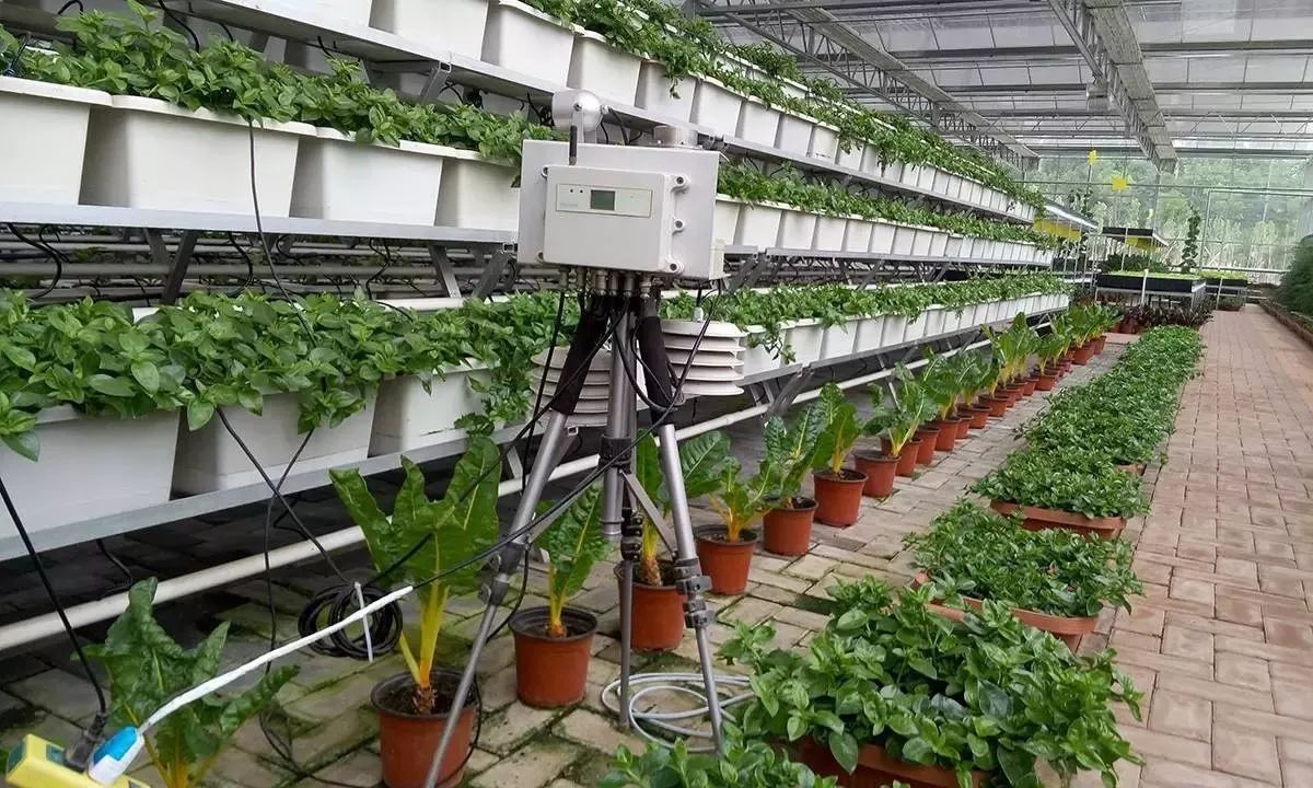 原來農(nóng)業(yè)這么&ldquo;高大上&rdquo;,為您盤點精準農(nóng)業(yè)領(lǐng)域的10項尖端技術(shù)_科技_網(wǎng)