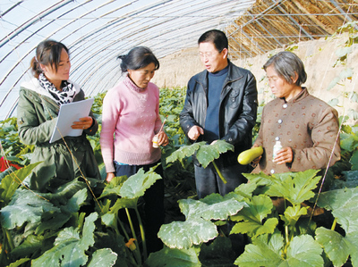 民樂縣不斷加強農業科技培訓服務工作
