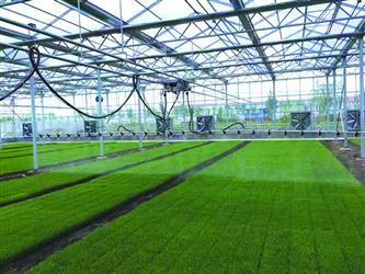 從幾戶農民幾臺農機合伙替他人翻地播種,到建育苗基地為水稻種植戶提供秧苗,再到自己租地種地-- 承接土地流轉 農機合作社做大了__中國青年網