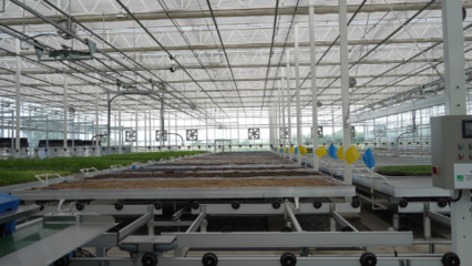 科技賦能 助力未來農業高質量發展--走進新疆農業博覽園