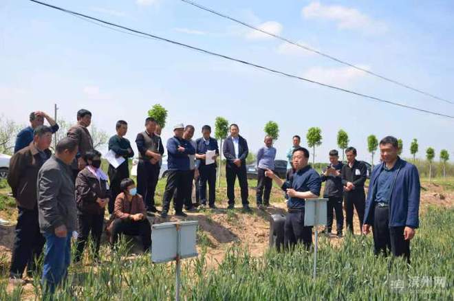 科技特派員賦能濱州田野，精準服務播撒鄉(xiāng)村振興新希望